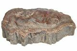 Colorful Polished Petrified Wood Dish - Madagascar #207409-3